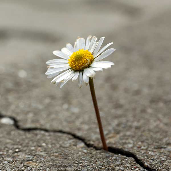 stress_galerie_1